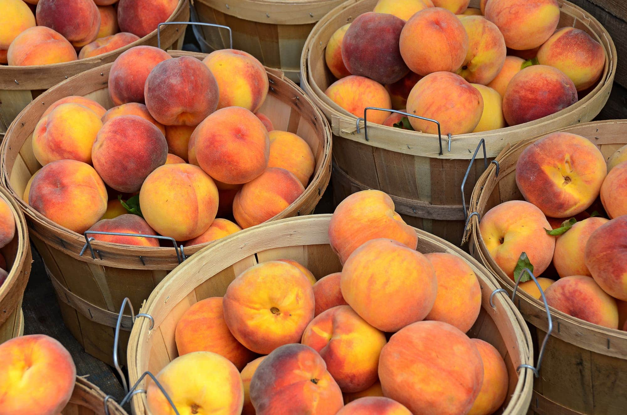 everything-you-wanted-to-know-about-all-the-types-of-peaches