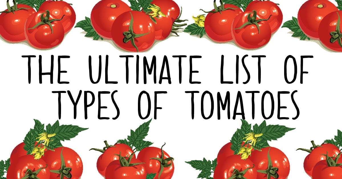 Tomato Varieties, Types of Tomatoes, Heirloom Tomatoes